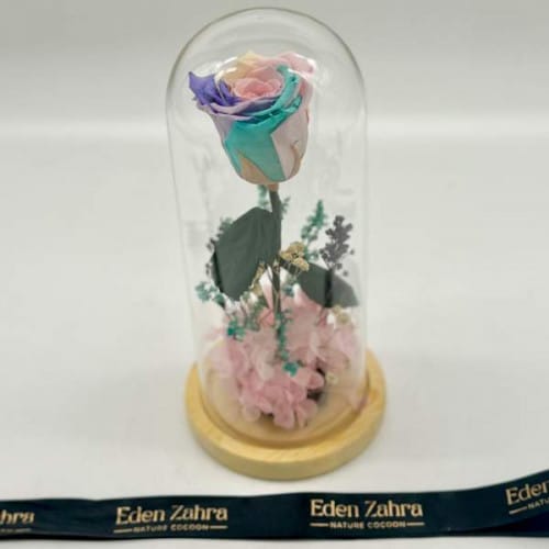 Cloche Eternal Rainbow Pink